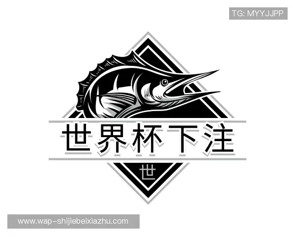 关于世界杯下注